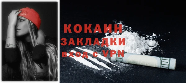 Альфа ПВП Няндома