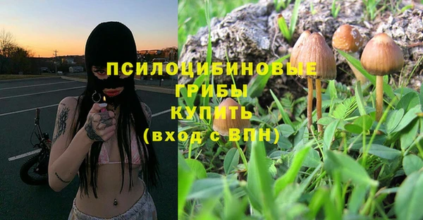 альфа пвп Новокубанск