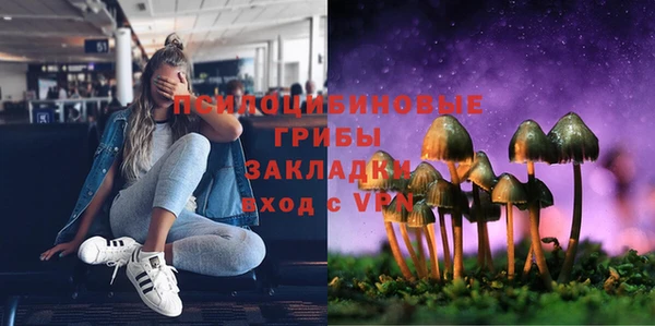 jwh Новозыбков
