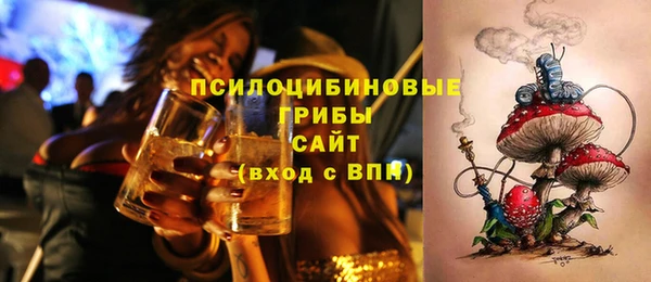 MDMA Новодвинск