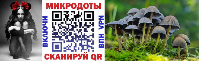Галлюциногенные грибы мухоморы Починок